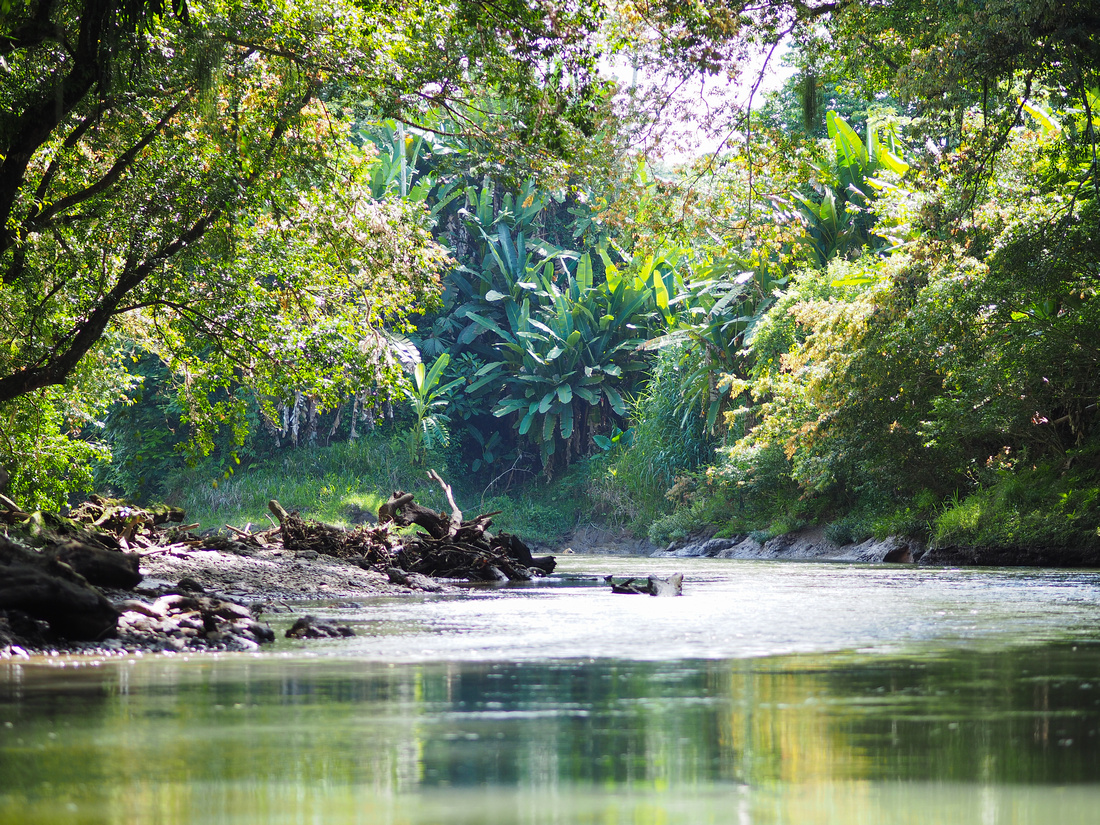 Penas Blancas River, Costa Rica