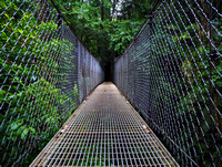 Mistico Arenal Hanging Bridges Park