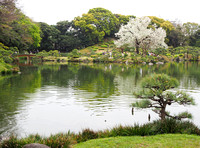Kiyosumi Gardens, Tokyo, Japan