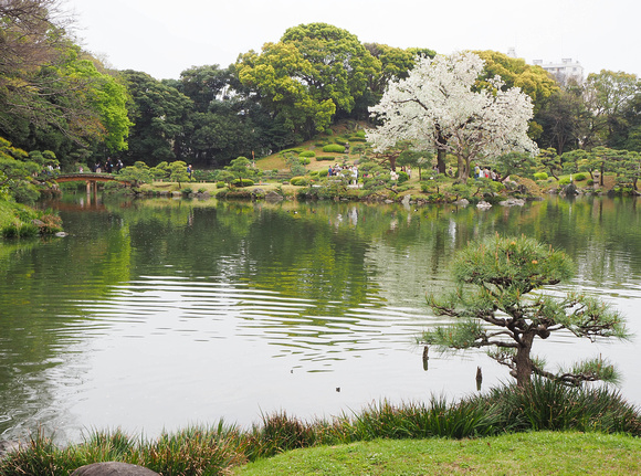 Kiyosumi Gardens, Tokyo, Japan