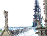 Notre Dame Cathedral, Paris, France